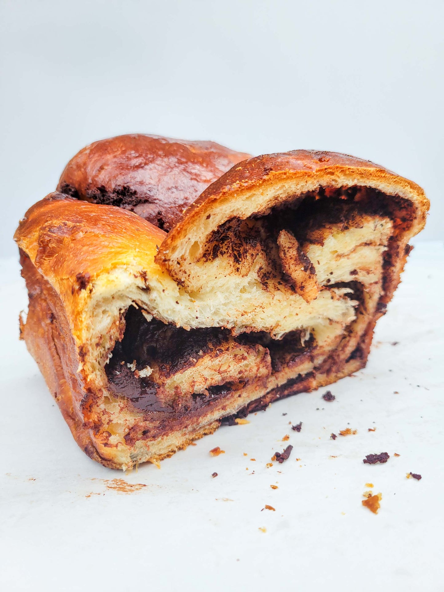 Chocolate Milk Bread Babka