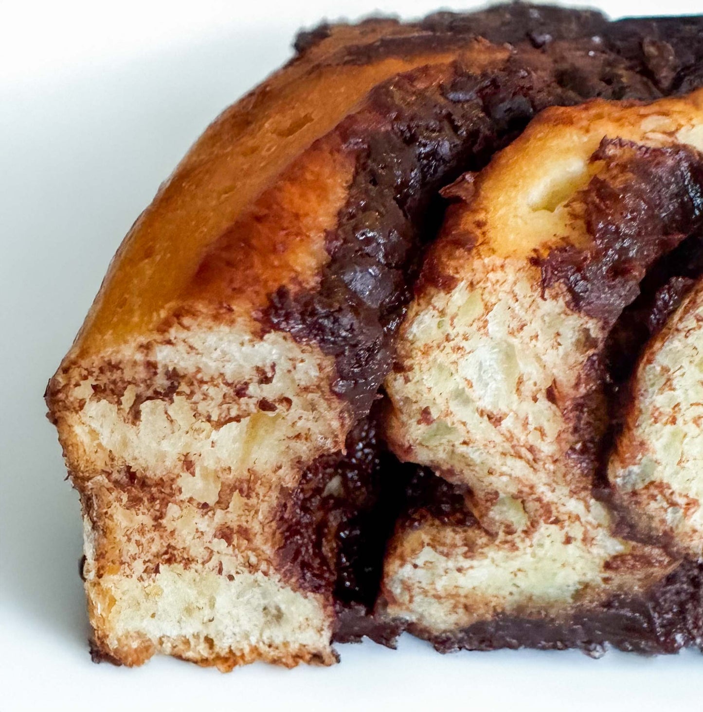 Chocolate Milk Bread Buns